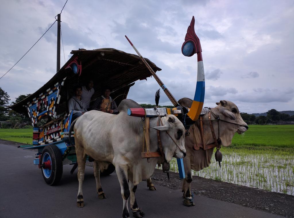 Joglo Ayem Tentrem Prambanan Extérieur photo